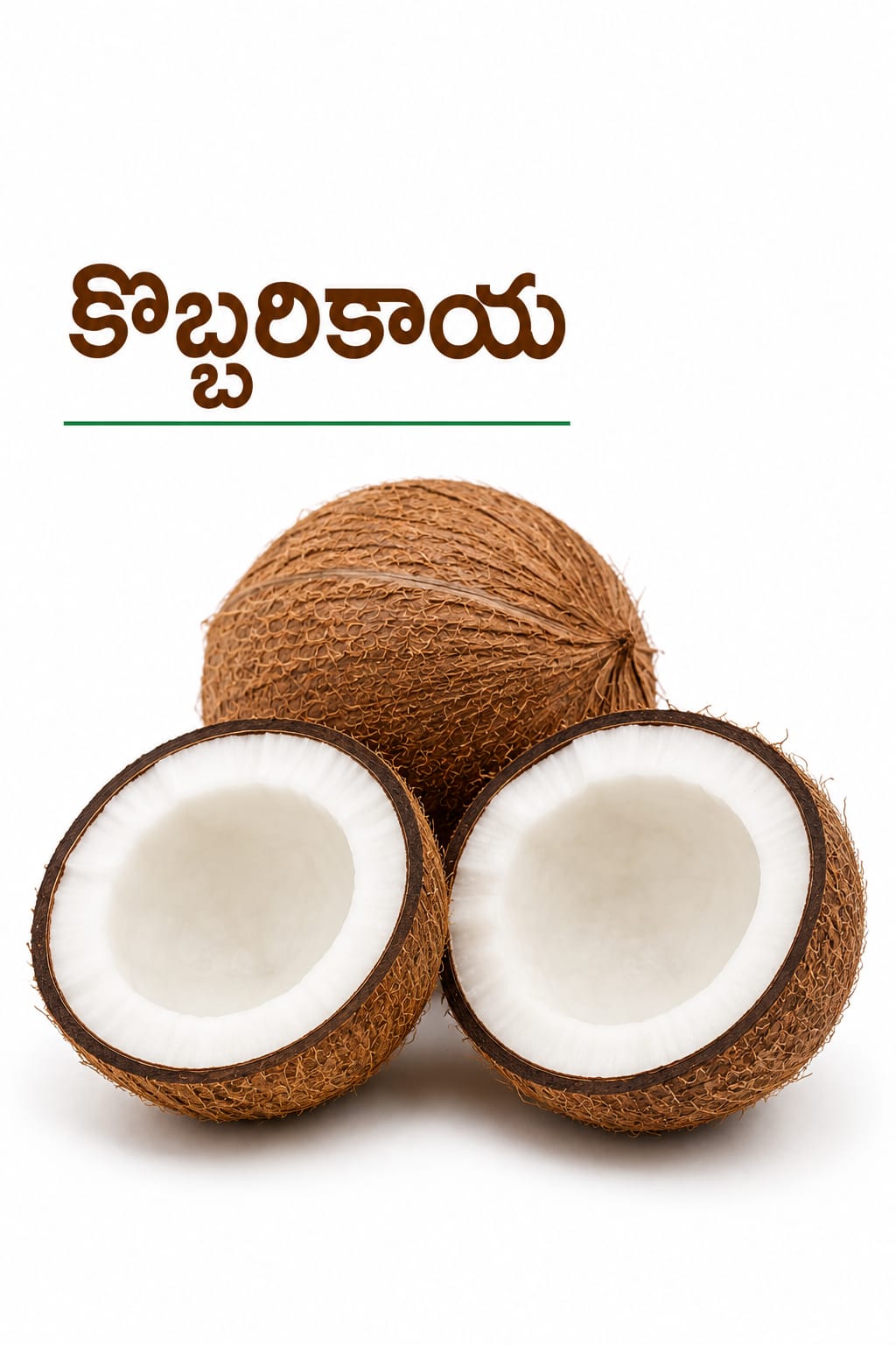 Coconut