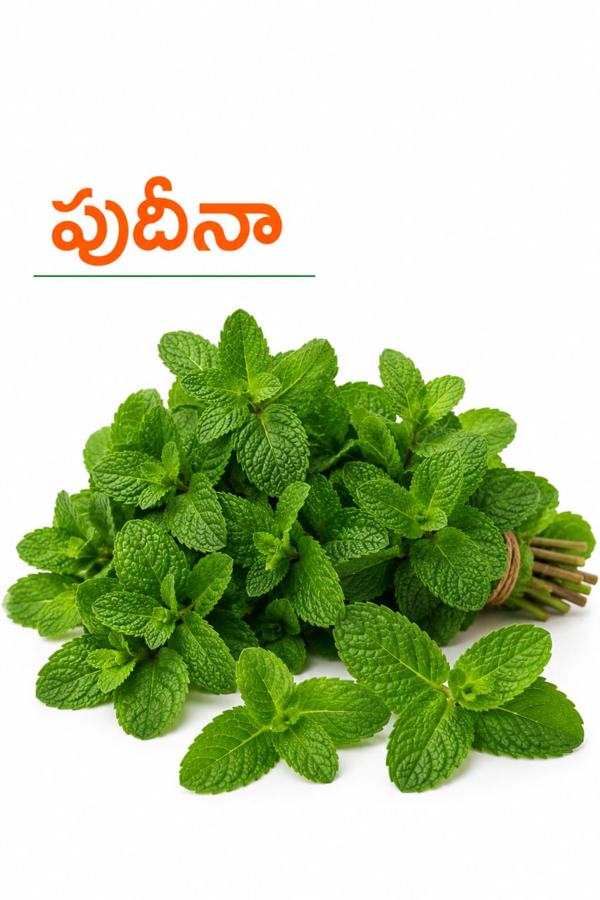 Mint Leaves
